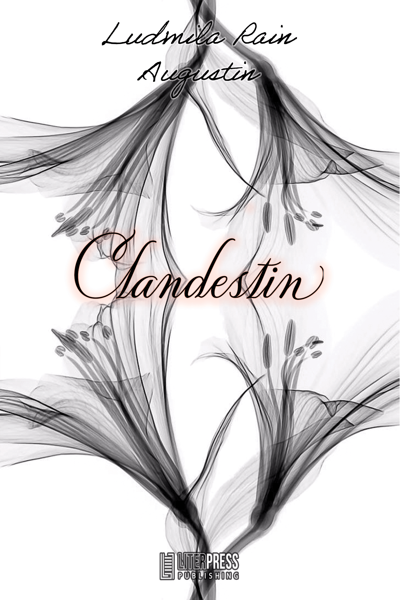 Clandestin - Bookbite