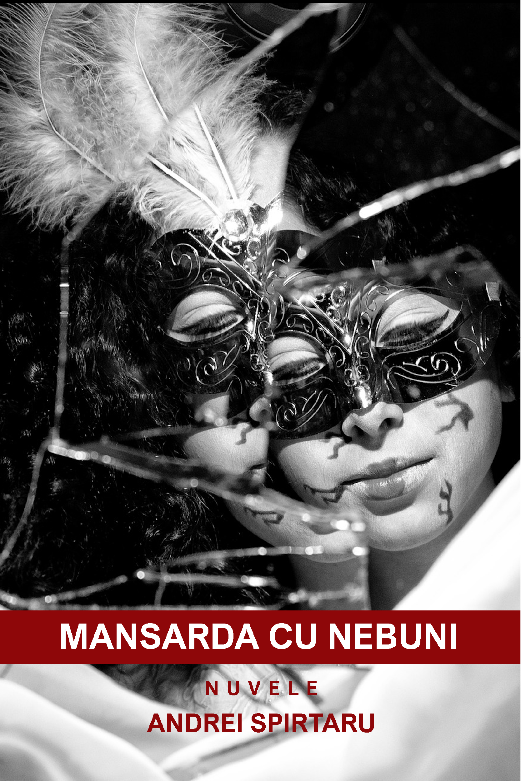 Mansarda cu nebuni