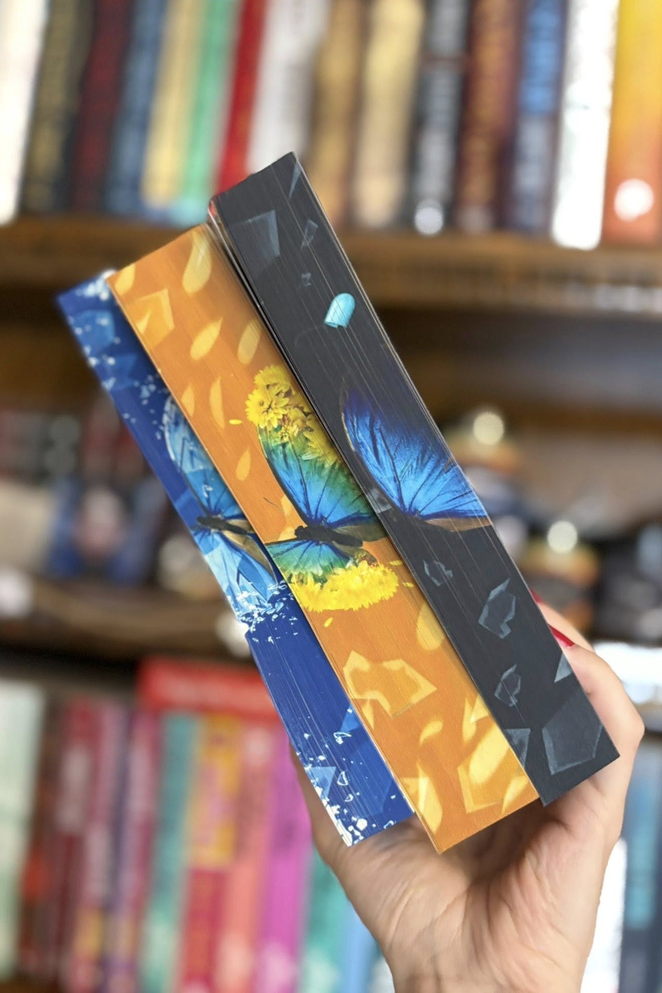 Seria Raven - Ediția de colecție + Cană cadou 🎁