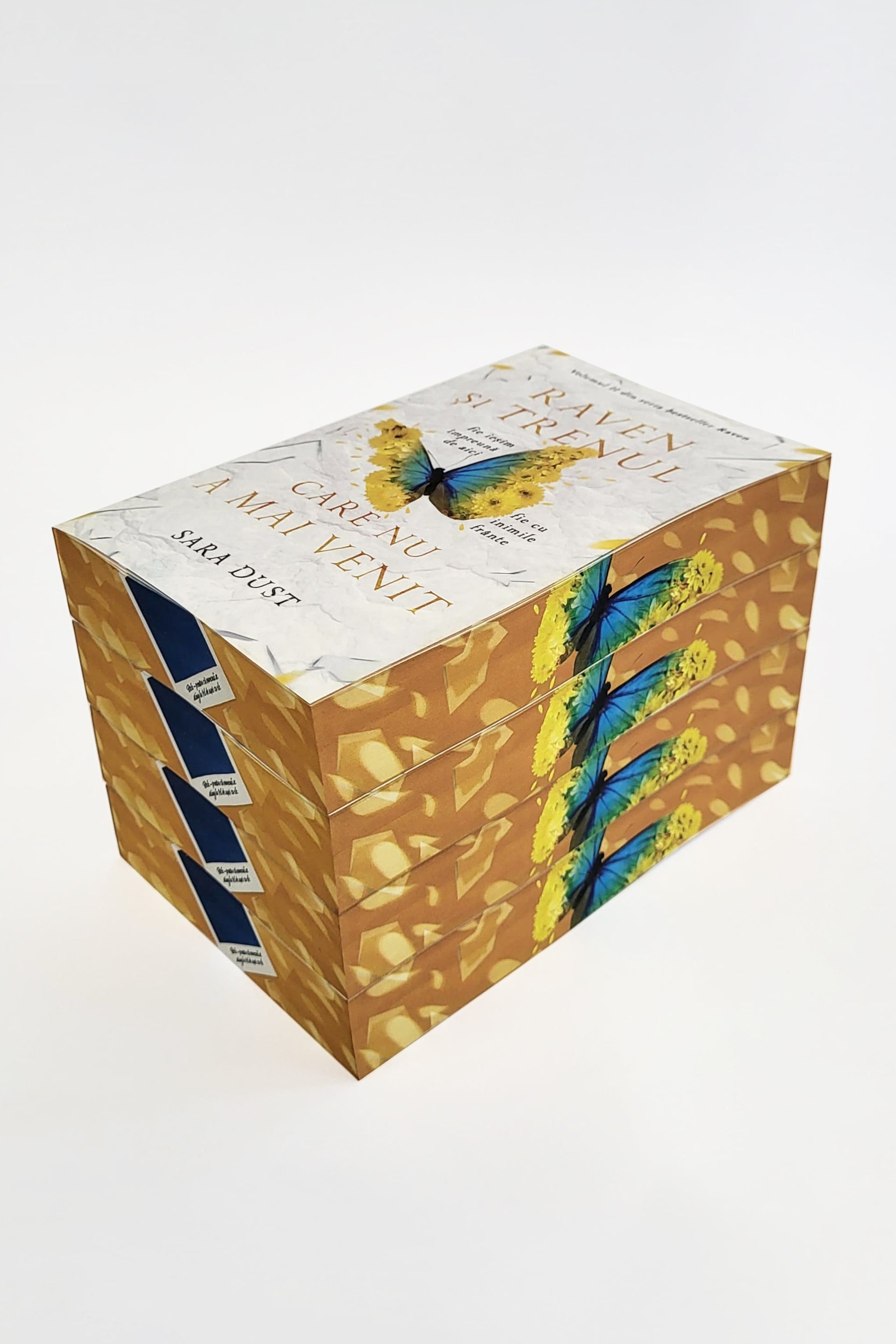 Raven și trenul care nu a mai venit (Volumul II) - PRINTED EDGES