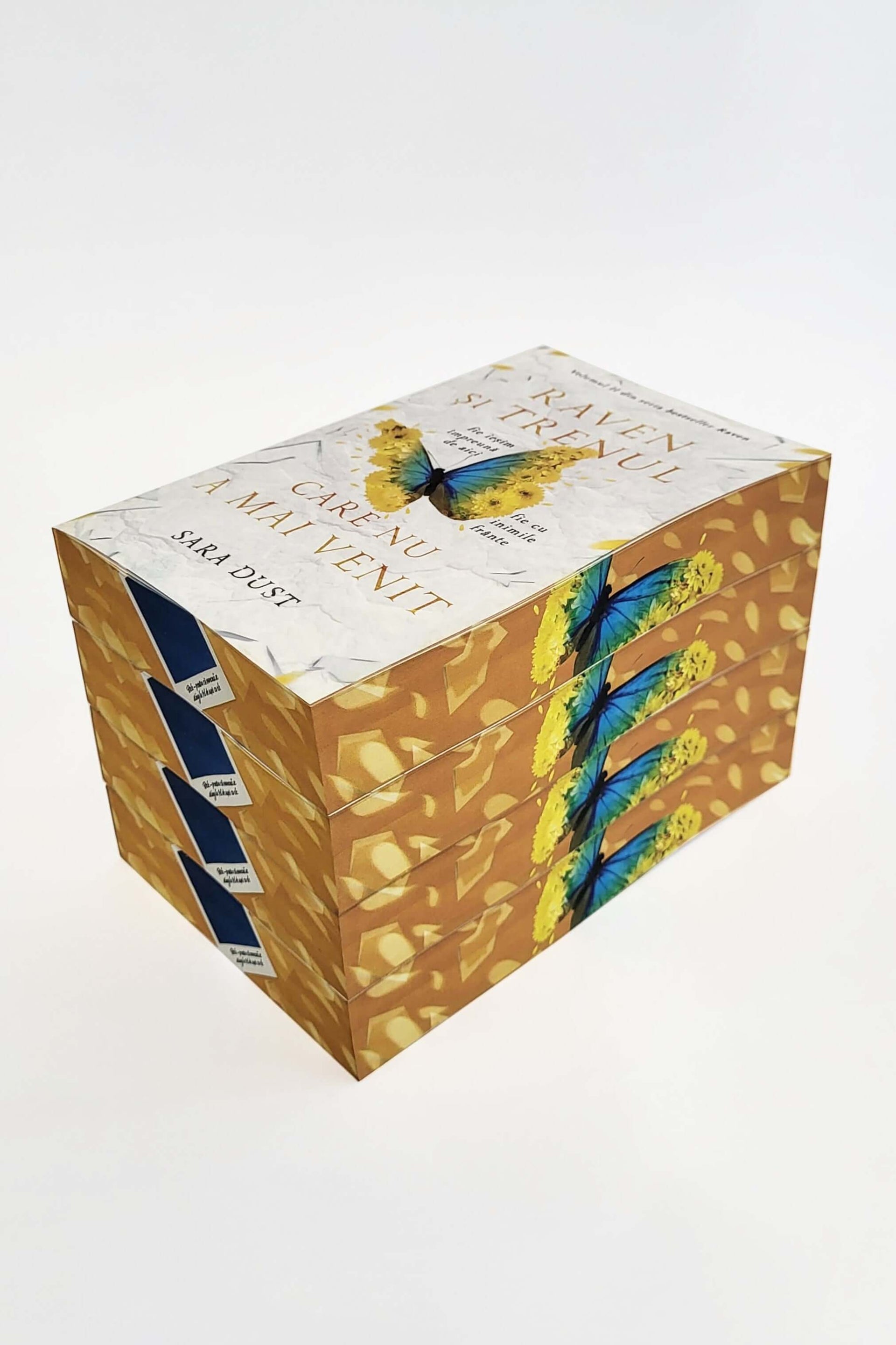 Raven și trenul care nu a mai venit Volumul II - PRINTED EDGES