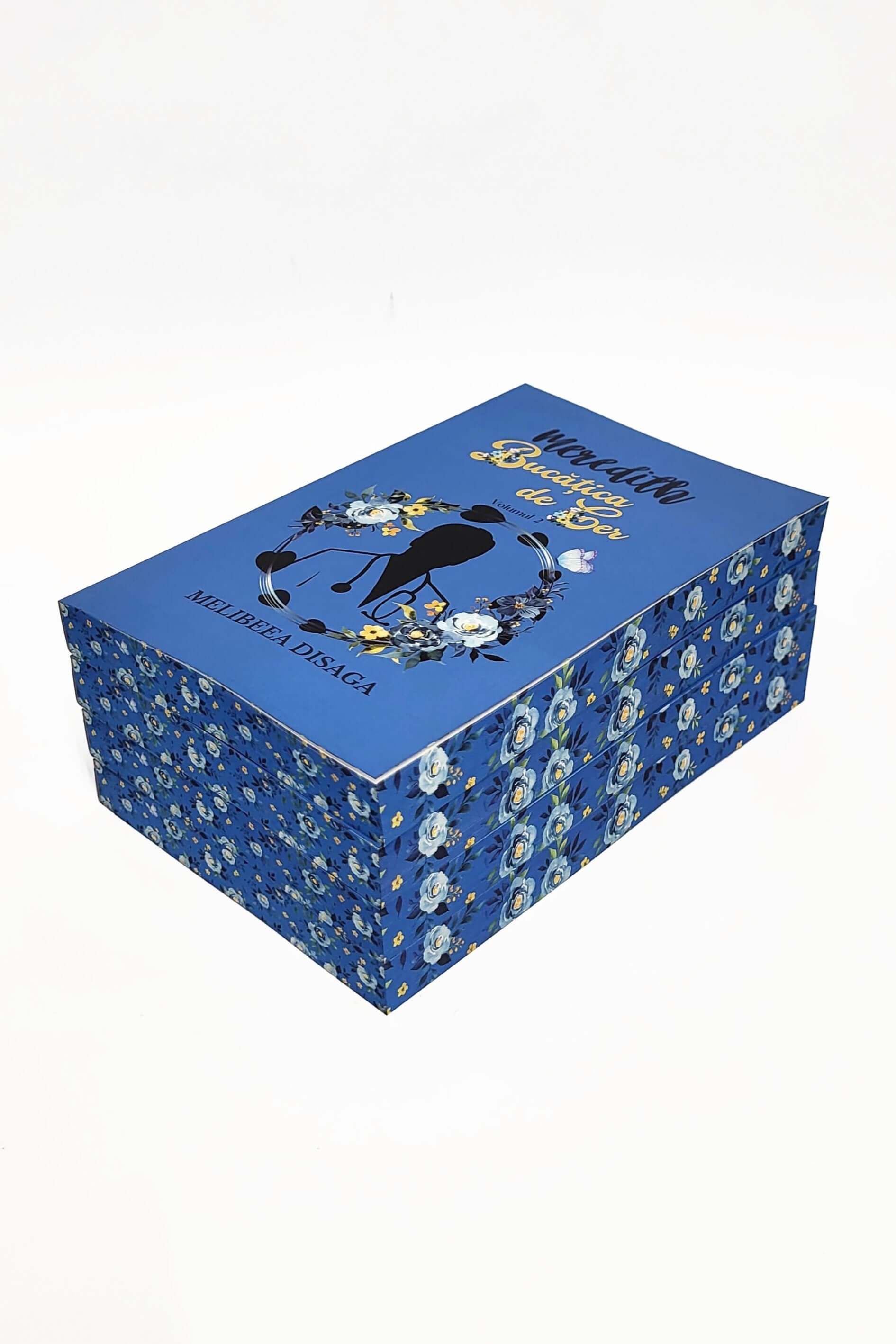 Meredith: Bucățica de Cer - PRINTED EDGES