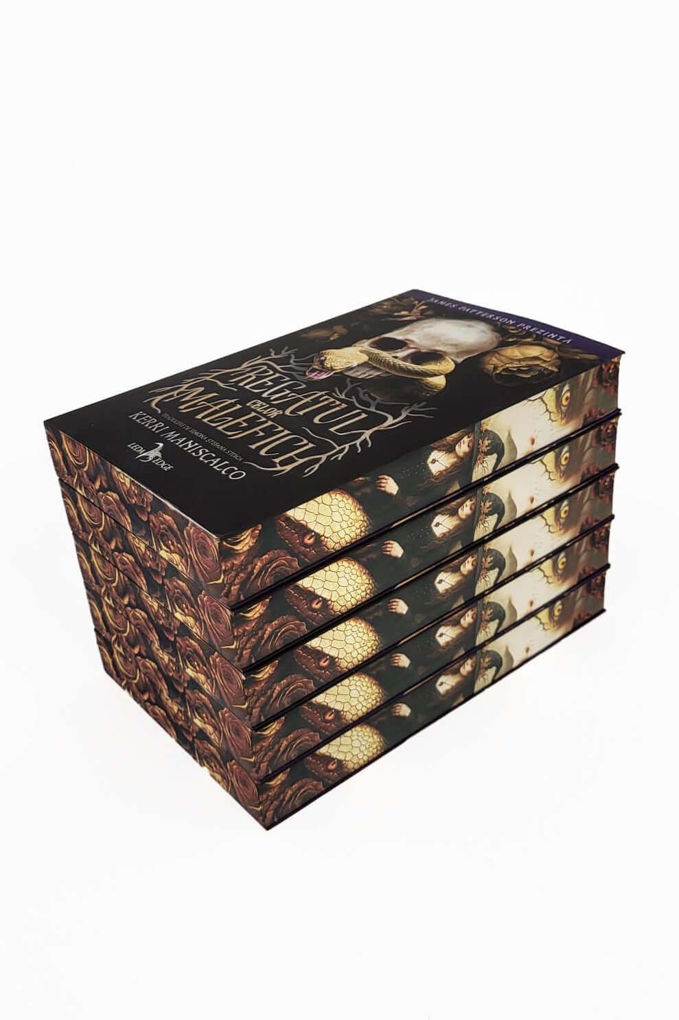 Regatul celor Malefici (#1) - PRINTED EDGES - Bookbite