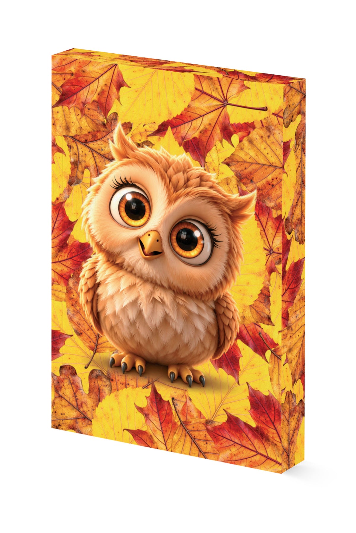 Carnețel 🦉 Astra