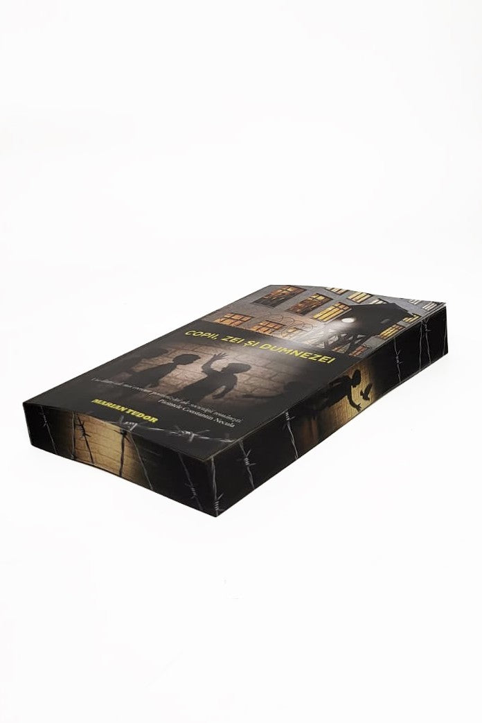 Copii Zei și Dumnezei de Marian Tudor - copertă carte