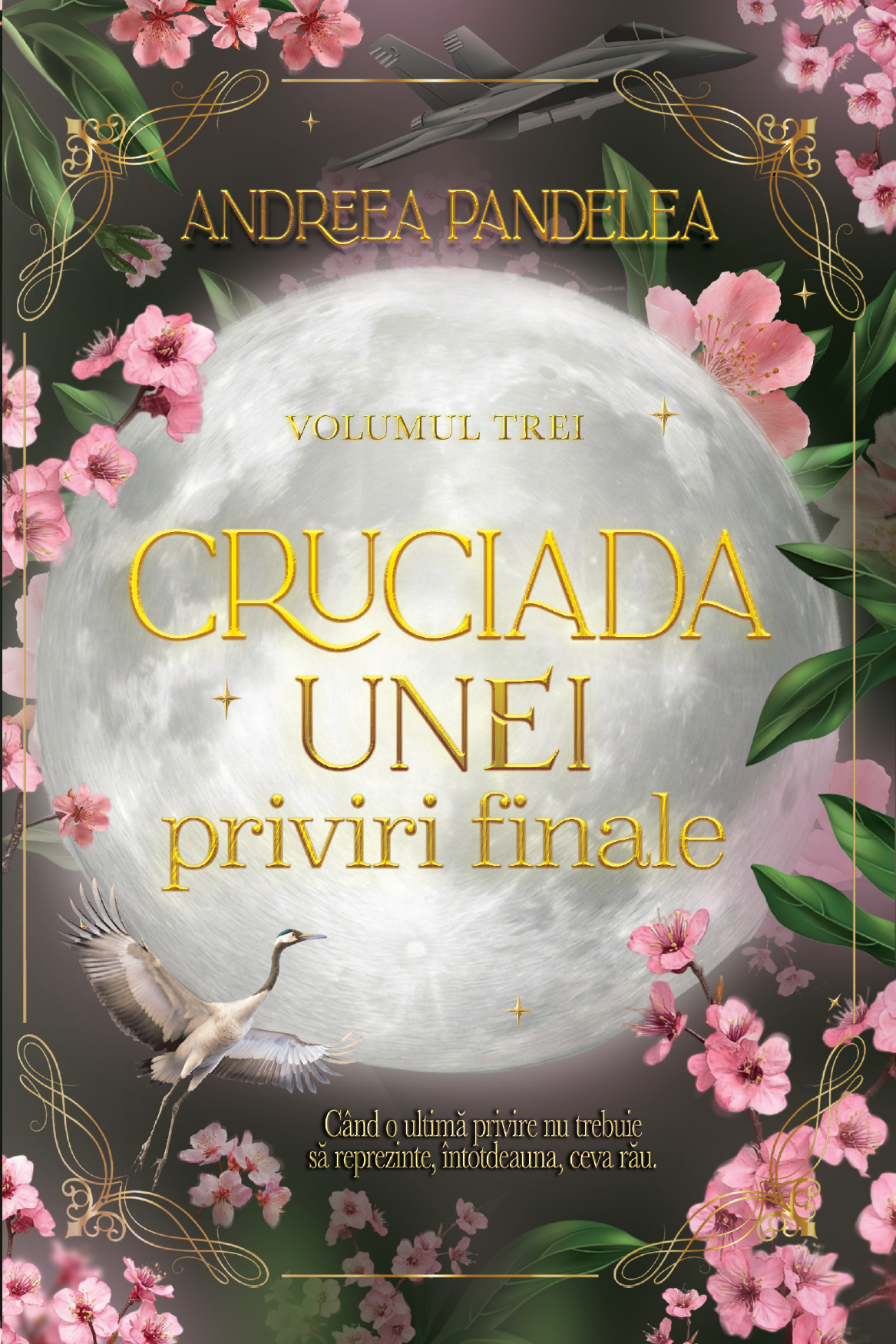 Cruciada unei priviri finale