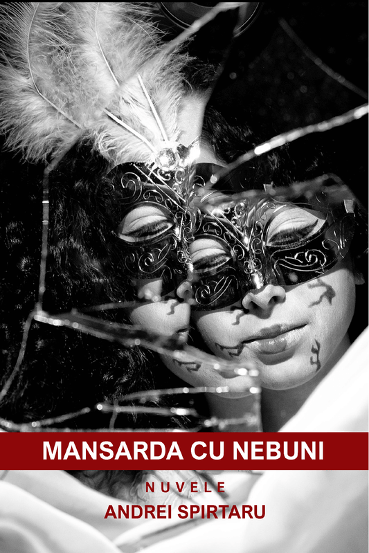Mansarda cu nebuni - Bookbite