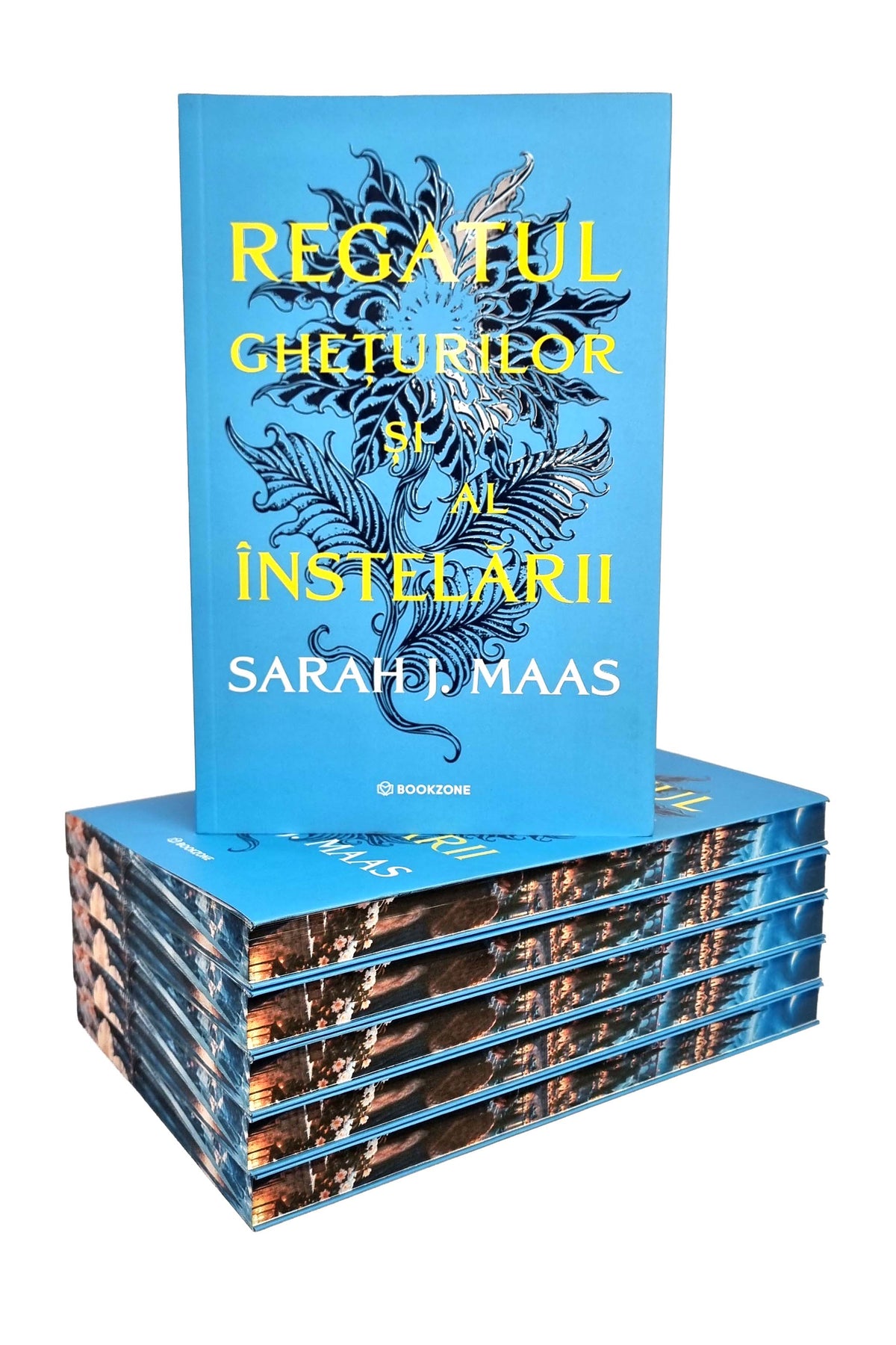 Regatul gheturilor si al instelarii (ACOTAR #4) - PRINTED EDGES