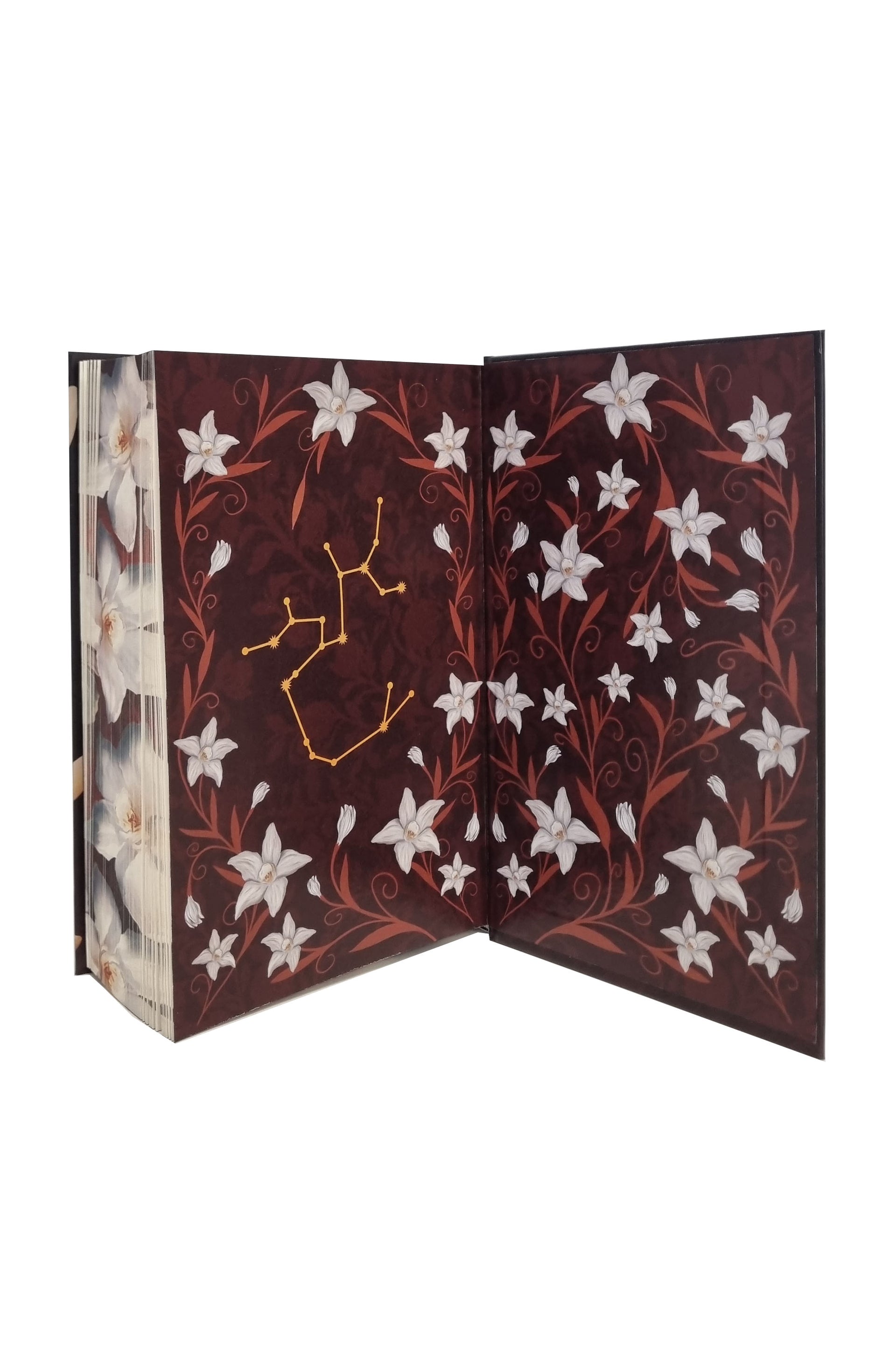 Storm - HARDCOVER - PRINTED EDGES