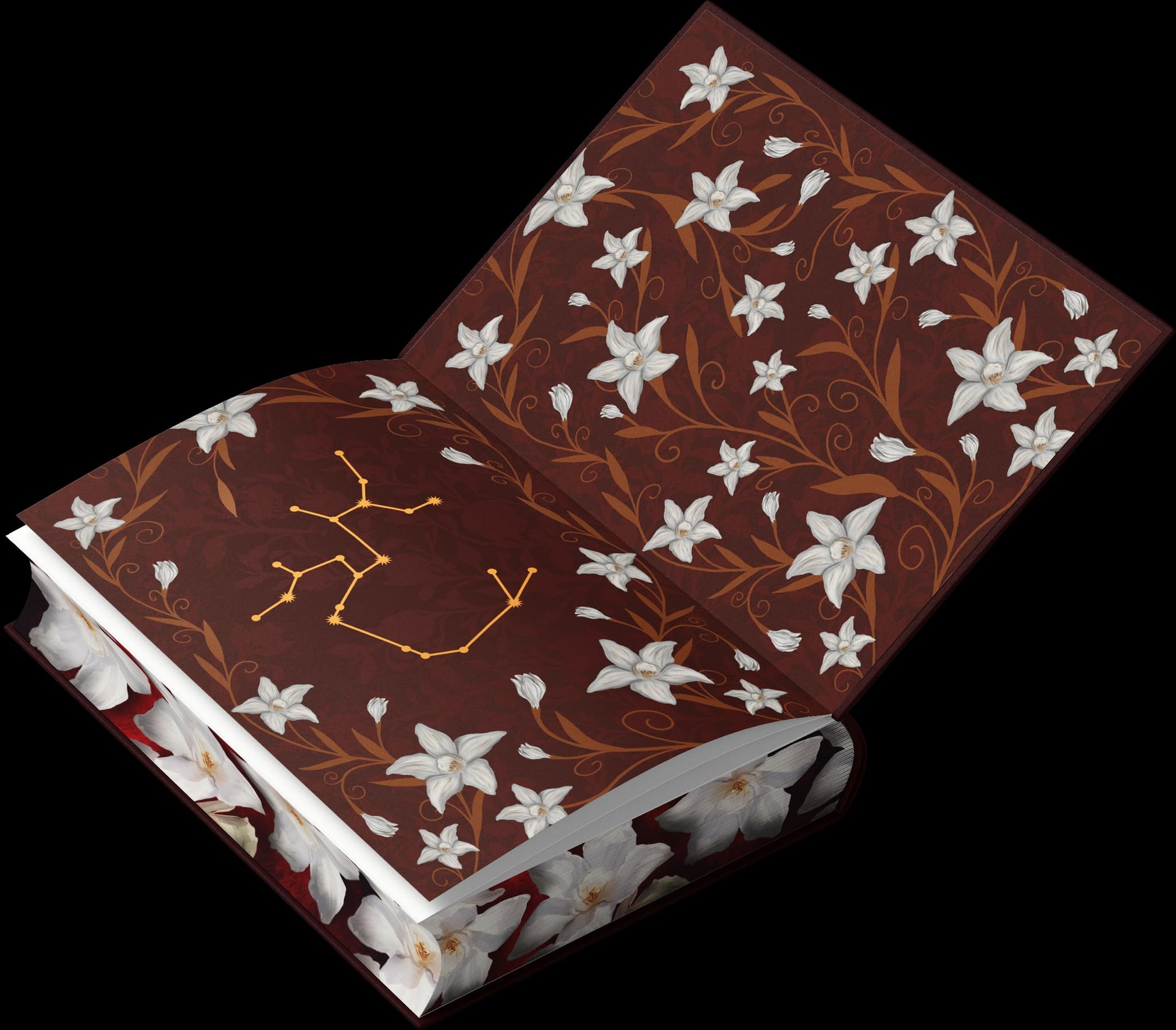 Storm - HARDCOVER - PRINTED EDGES - Precomandă