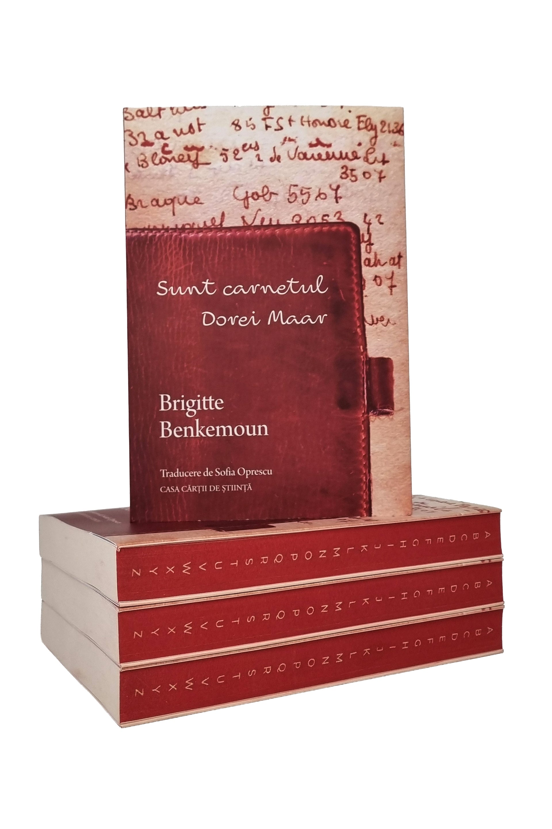 Sunt carnetul Dorei Maar - PRINTED EDGES