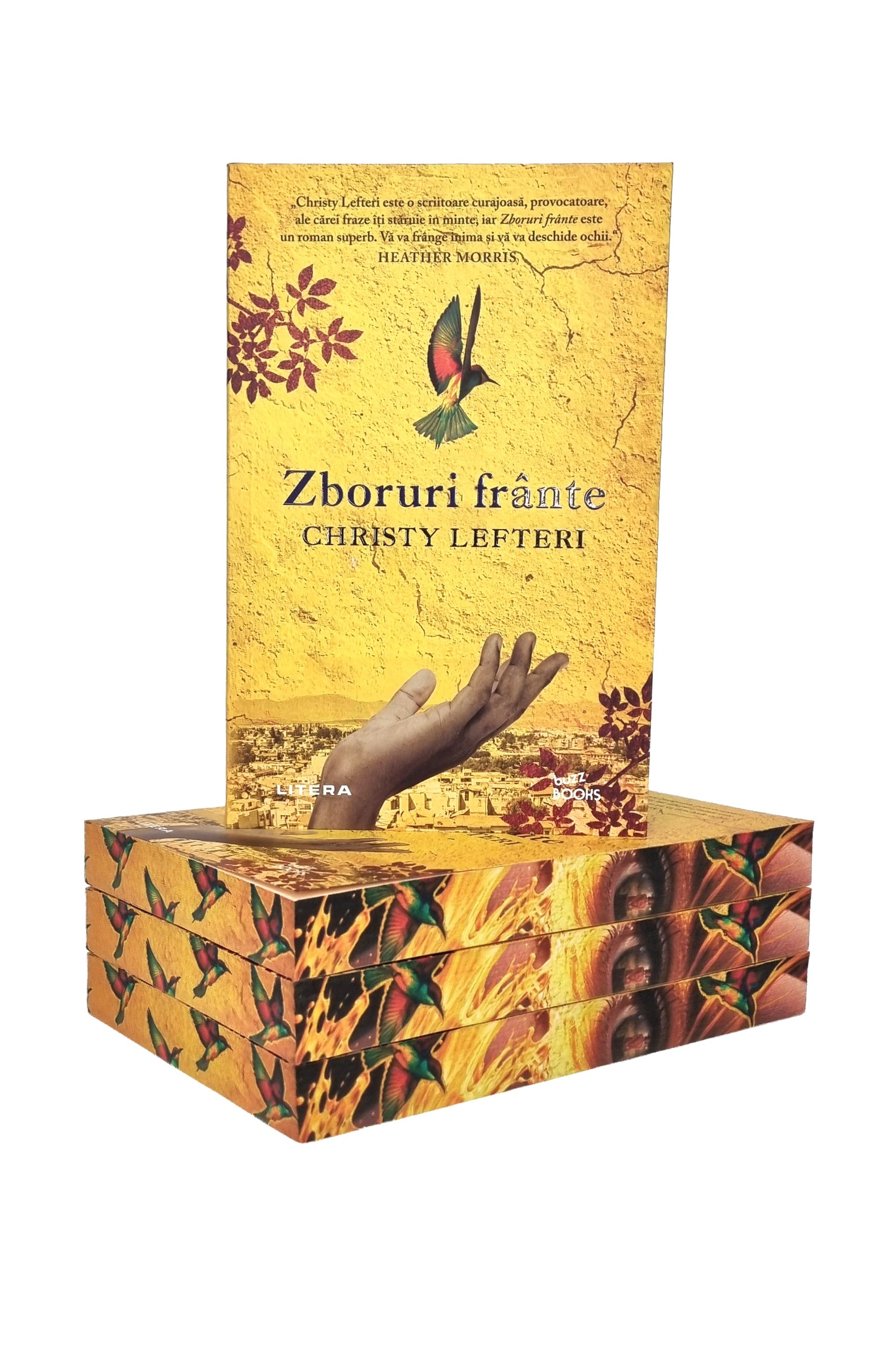 Zboruri frânte - PRINTED EDGES