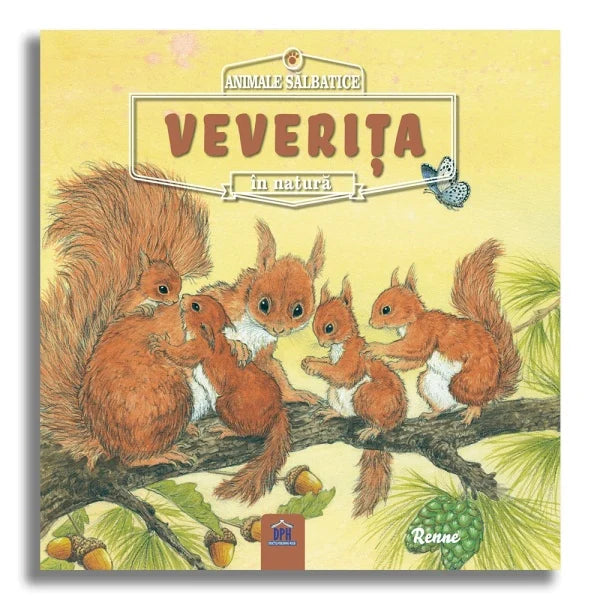 Animale salbatice in natura: Veverita