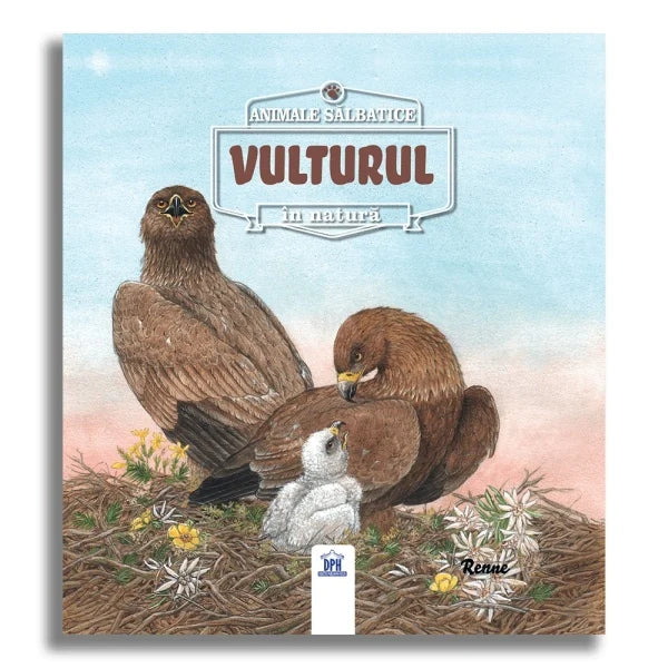 Animale salbatice in natura: Vulturul