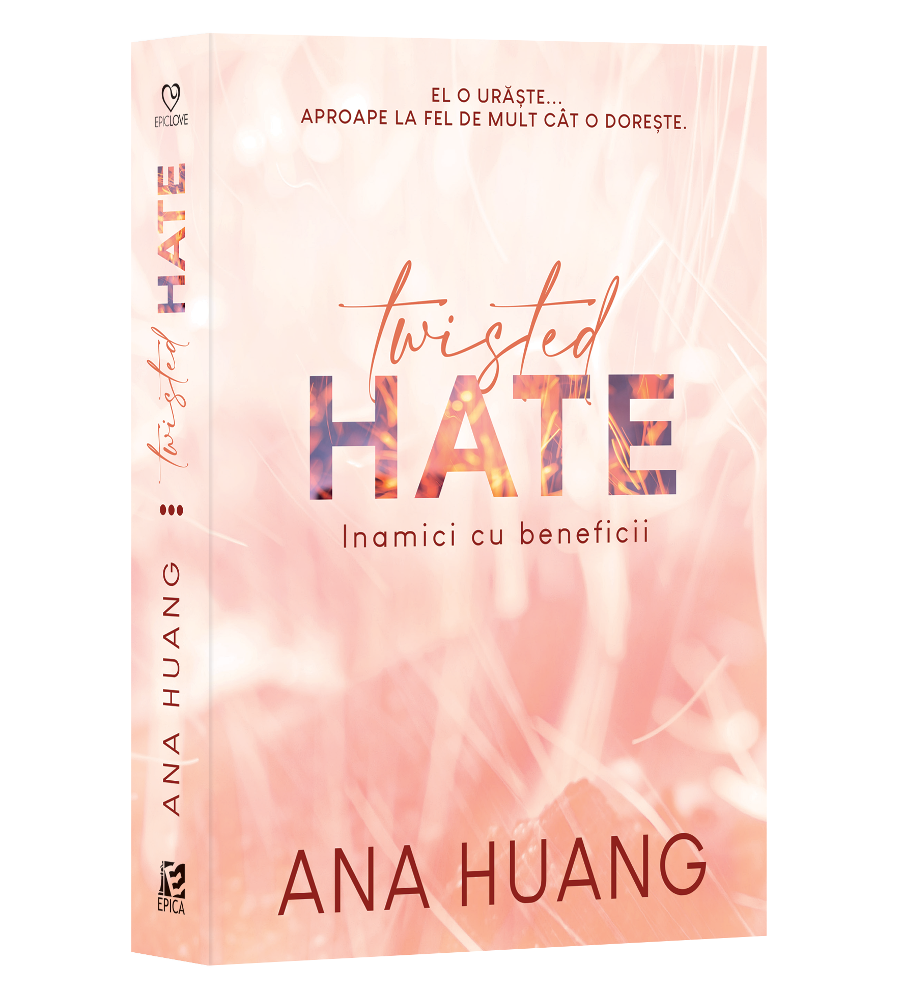 Twisted Hate. Inamici cu beneficii