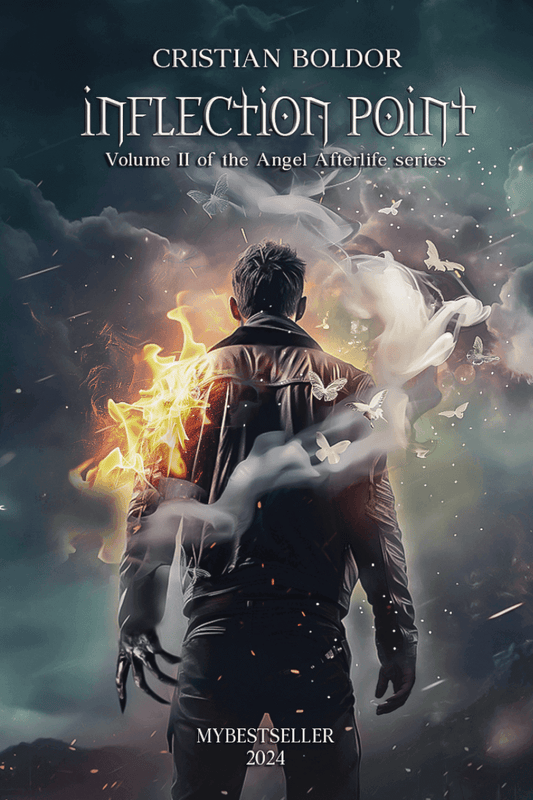 Inflection Point - Bookbite