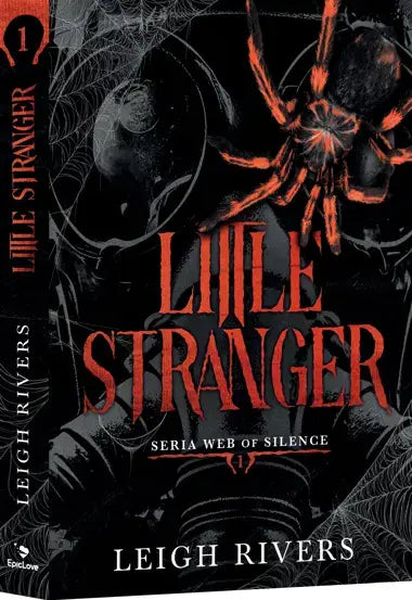 Little Stranger de Leigh Rivers - copertă carte