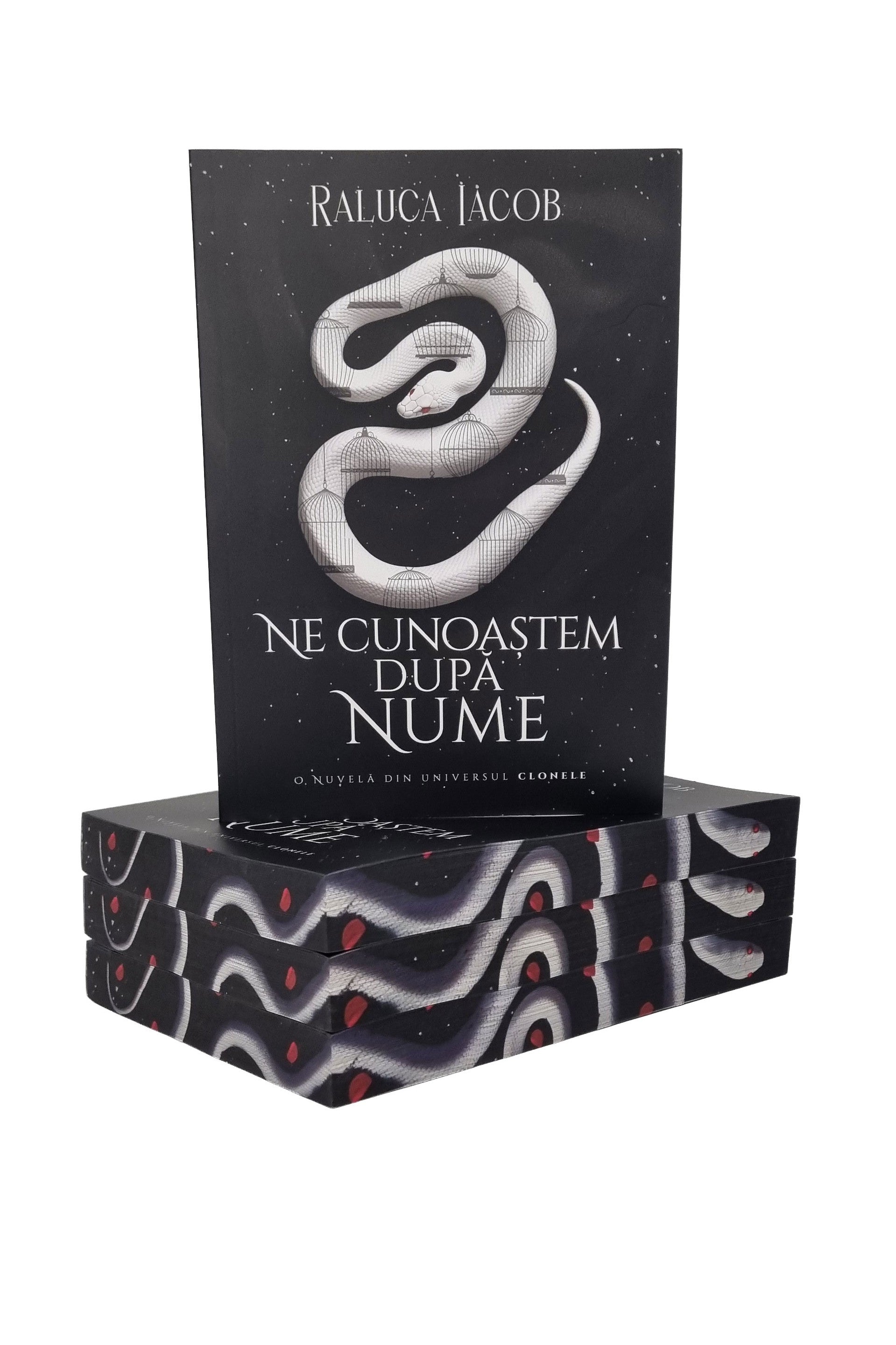 Ne cunoaștem după nume - PRINTED EDGES